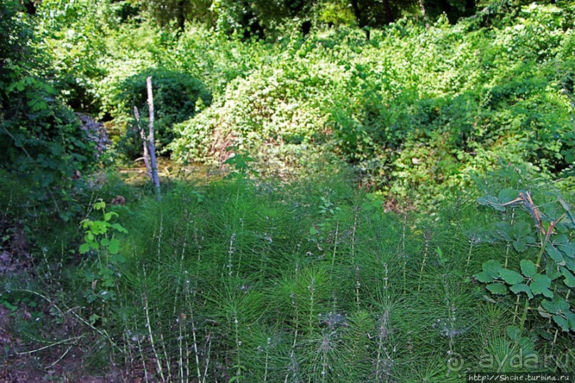 Хоть и "археологический", но все же парк Диона