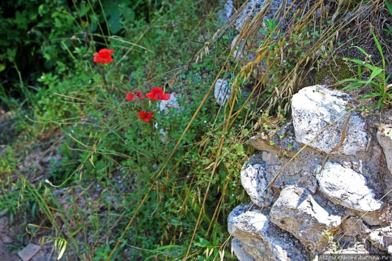 Хоть и "археологический", но все же парк Диона
