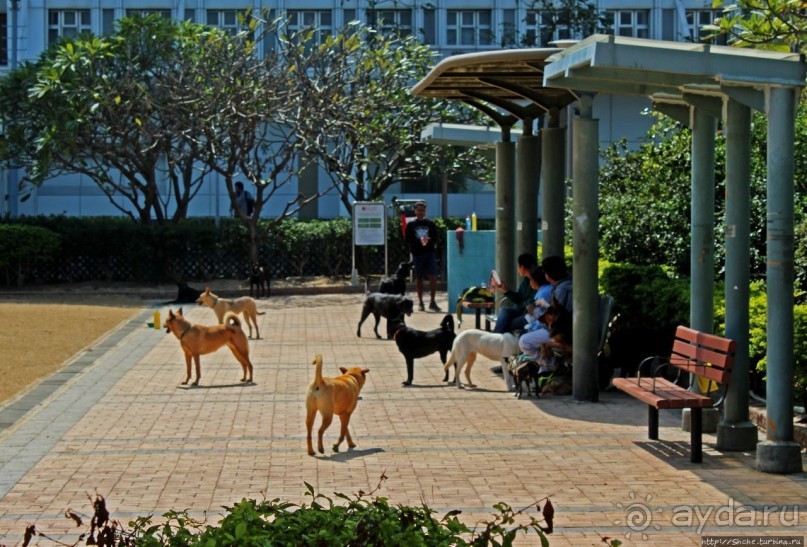 Приятный парк на набережной гавани Гонконга