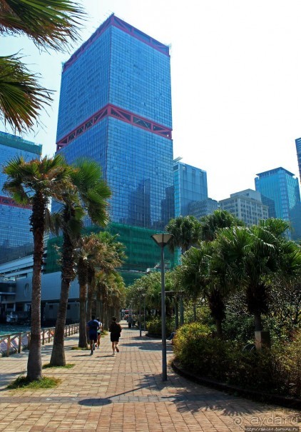 Приятный парк на набережной гавани Гонконга