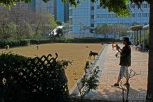 Приятный парк на набережной гавани Гонконга