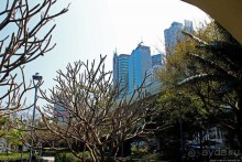 Приятный парк на набережной гавани Гонконга