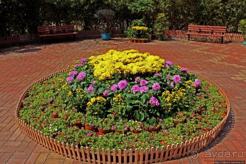 Приятный парк на набережной гавани Гонконга