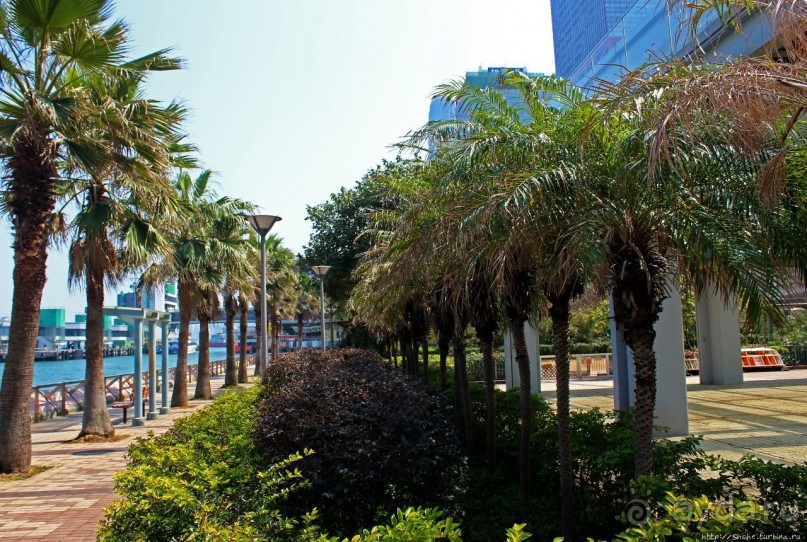 Приятный парк на набережной гавани Гонконга