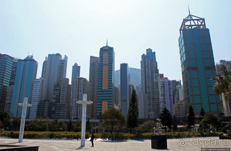 Альбом отзыва "Приятный парк на набережной гавани Гонконга"