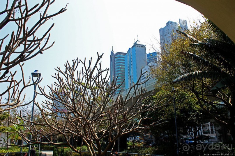 Альбом отзыва "Приятный парк на набережной гавани Гонконга"