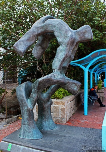 Альбом отзыва "Приятный парк на набережной гавани Гонконга"