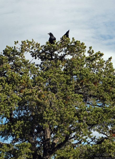 Не панорамами едиными жив Гранд-Каньон