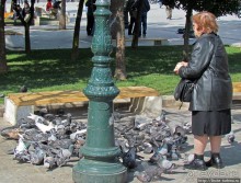 Альбом отзыва "Бродя между достопримечательностями... Просто Афины"