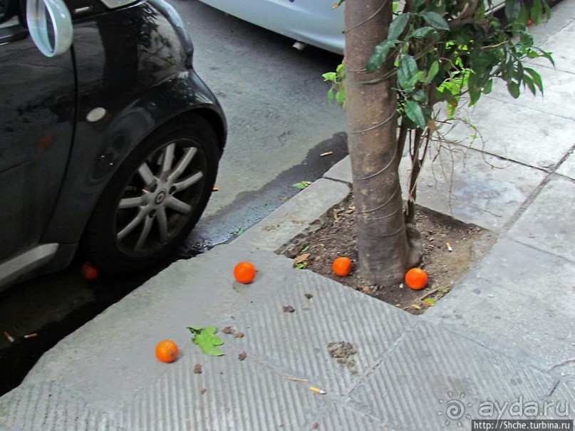 Бродя между достопримечательностями... Просто Афины