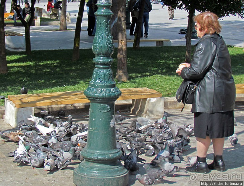 Бродя между достопримечательностями... Просто Афины