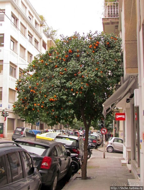 Бродя между достопримечательностями... Просто Афины