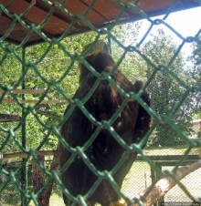 Мгарский Свято-Преображенский монастырь — обитель над Сулой