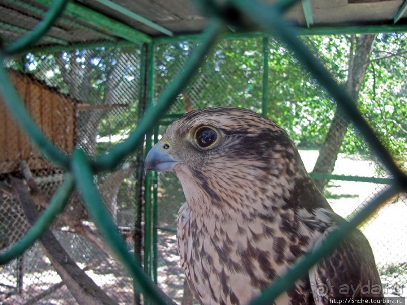 Мгарский Свято-Преображенский монастырь — обитель над Сулой