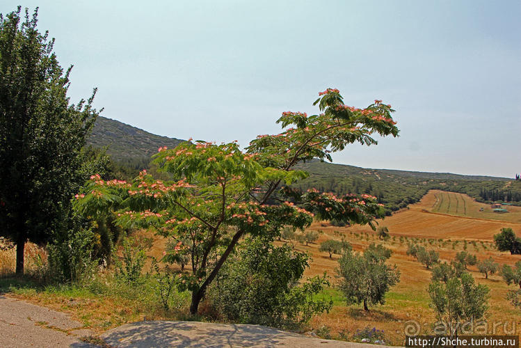 Петралона — пещера, музей и не только