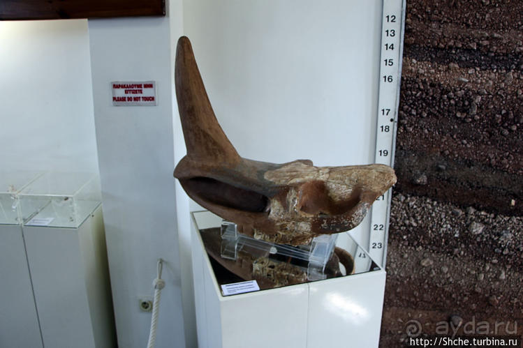 Петралона — пещера, музей и не только