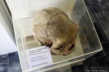 Петралона — пещера, музей и не только