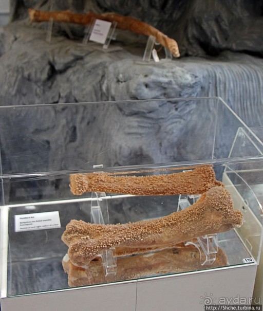 Петралона — пещера, музей и не только