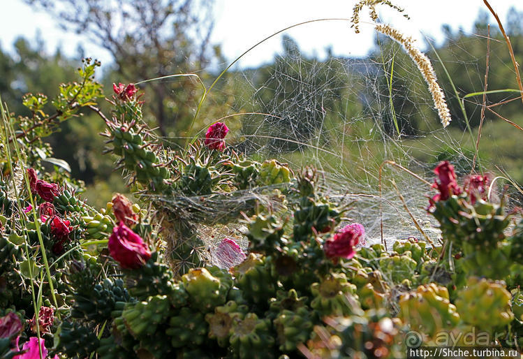 Петралона — пещера, музей и не только