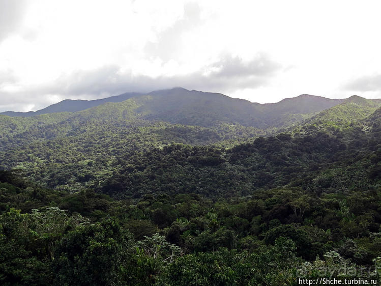 Альбом отзыва ""Высоко сижу, далеко гляжу". Yokahy Tower — башня в лесу"