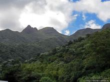"Высоко сижу, далеко гляжу". Yokahy Tower — башня в лесу