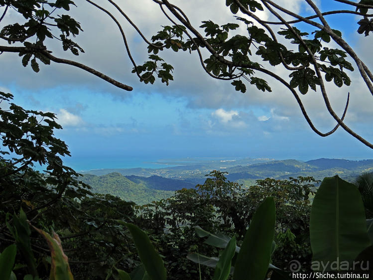 "Высоко сижу, далеко гляжу". Yokahy Tower — башня в лесу