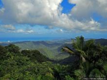 "Высоко сижу, далеко гляжу". Yokahy Tower — башня в лесу