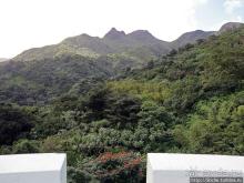 Альбом отзыва ""Высоко сижу, далеко гляжу". Yokahy Tower — башня в лесу"