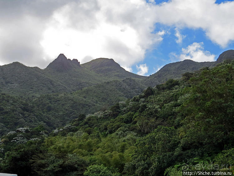 "Высоко сижу, далеко гляжу". Yokahy Tower — башня в лесу