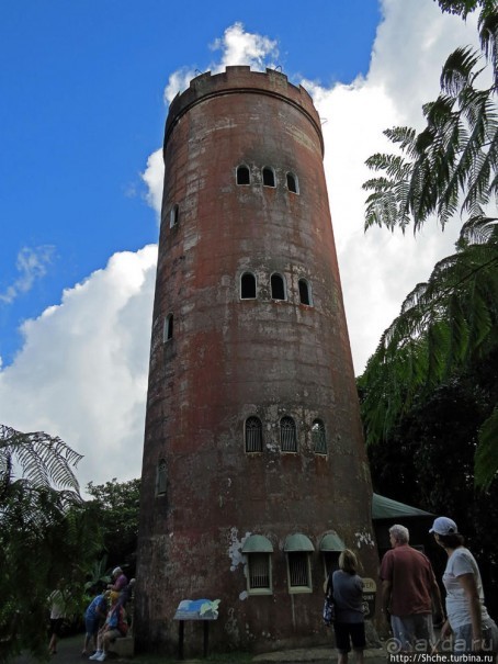 "Высоко сижу, далеко гляжу". Yokahy Tower — башня в лесу