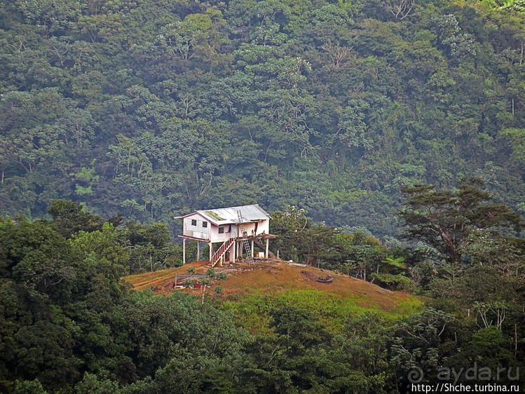"Высоко сижу, далеко гляжу". Yokahy Tower — башня в лесу