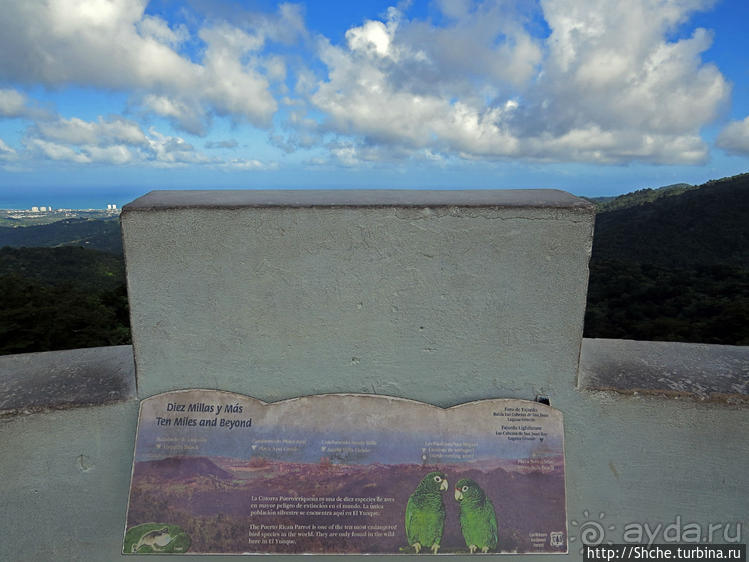 "Высоко сижу, далеко гляжу". Yokahy Tower — башня в лесу