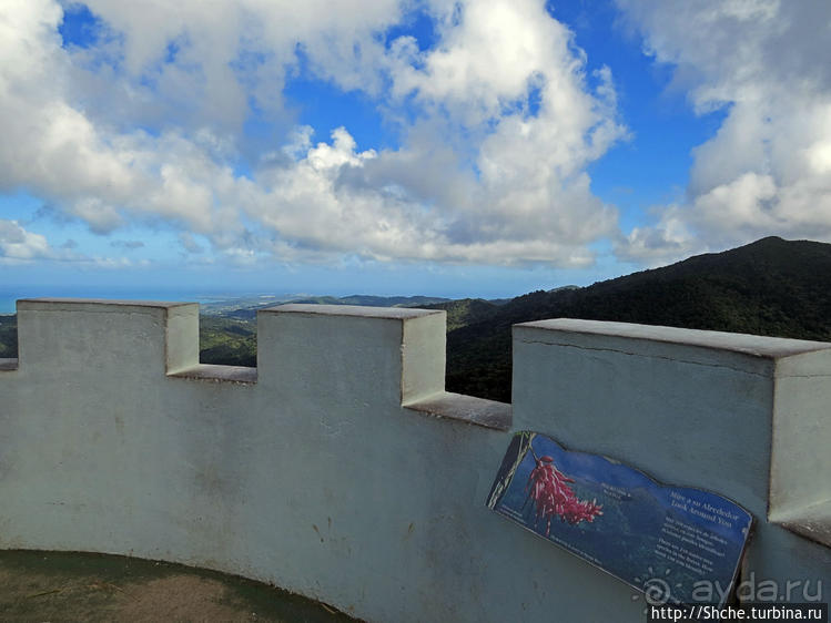 "Высоко сижу, далеко гляжу". Yokahy Tower — башня в лесу