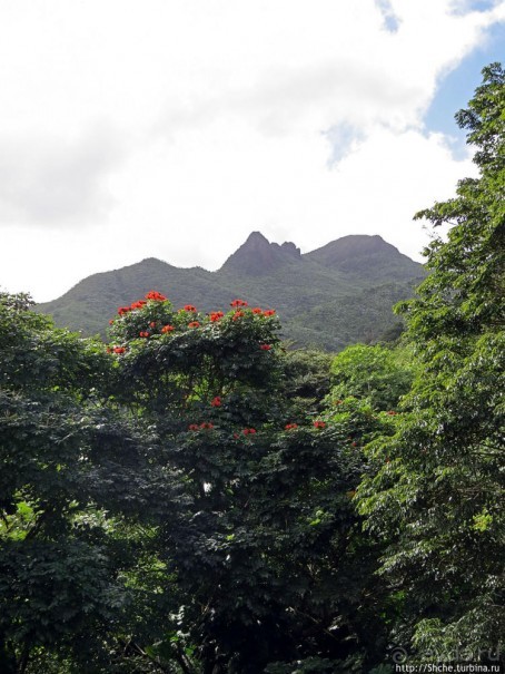"Высоко сижу, далеко гляжу". Yokahy Tower — башня в лесу
