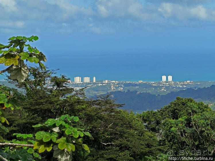 "Высоко сижу, далеко гляжу". Yokahy Tower — башня в лесу