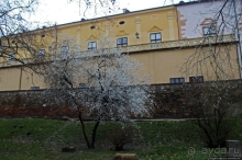 Вечер в историческом Пече