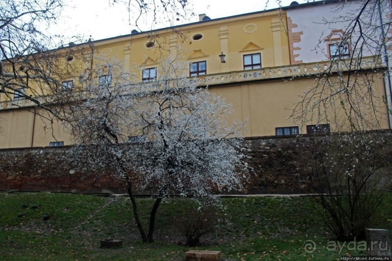 Вечер в историческом Пече