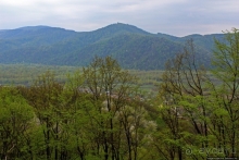 Хуст: замок на горе стоит, надо замок посетить