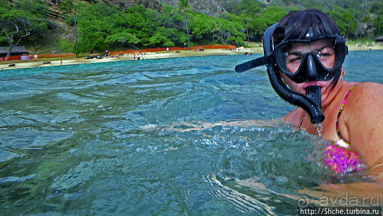 А теперь покатай меня, больша-ая черепаха