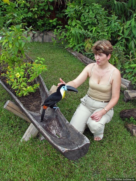 "А-а, и зеленый попугай," — мы покидаем Канайму