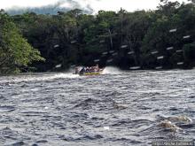 "А-а, и зеленый попугай," — мы покидаем Канайму