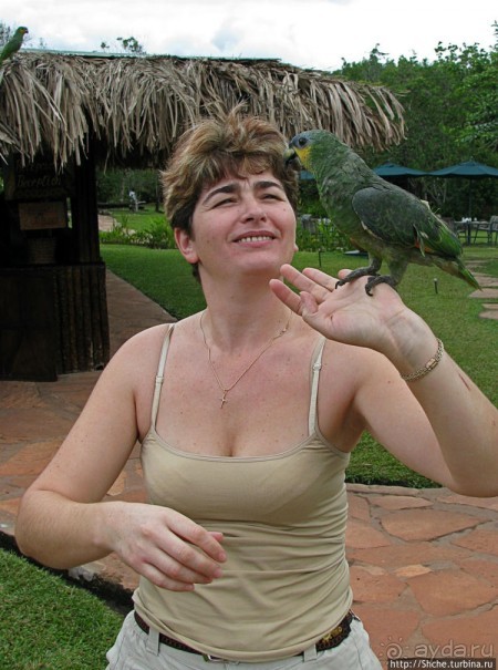 "А-а, и зеленый попугай," — мы покидаем Канайму