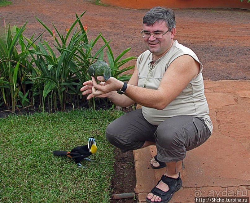 "А-а, и зеленый попугай," — мы покидаем Канайму