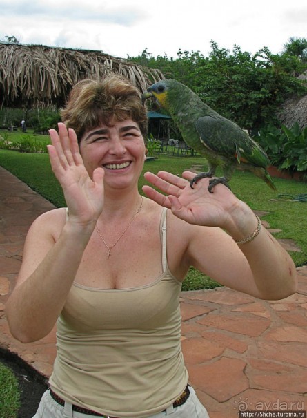 "А-а, и зеленый попугай," — мы покидаем Канайму