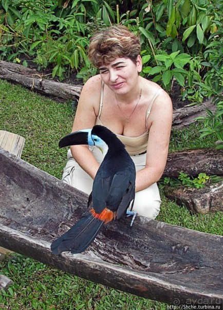 "А-а, и зеленый попугай," — мы покидаем Канайму