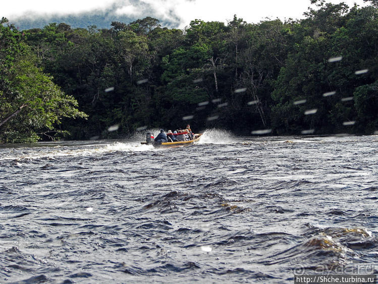 "А-а, и зеленый попугай," — мы покидаем Канайму
