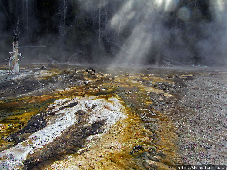 Смотровая площадка и гейзер-одиночка (район "Old faithful")