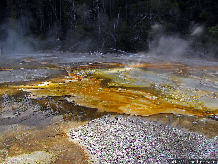 Смотровая площадка и гейзер-одиночка (район "Old faithful")