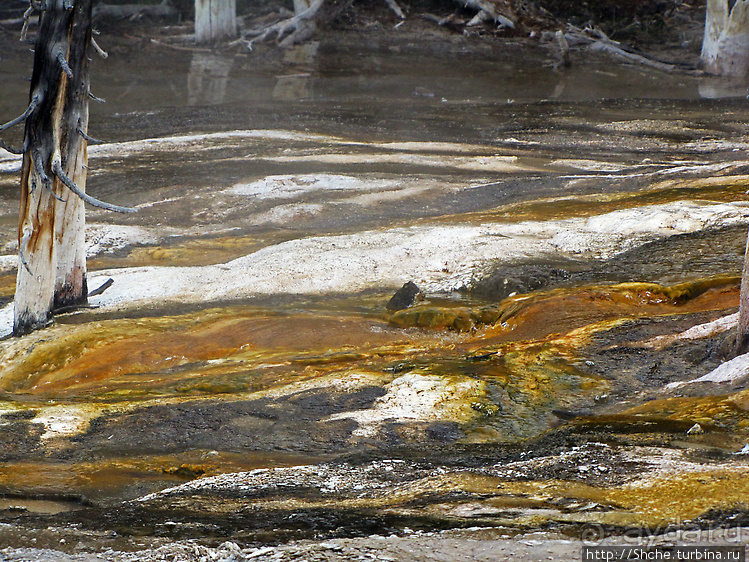 Смотровая площадка и гейзер-одиночка (район "Old faithful")
