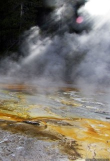 Смотровая площадка и гейзер-одиночка (район "Old faithful")